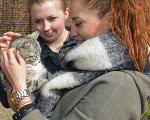 katzen auf dem gaertnerhof 20150313 1535934425