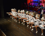 juniorengarde 20150215 1086223532