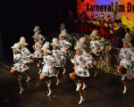 juniorengarde 20150215 1176322838