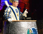 prinz julius  20150216 1393671679