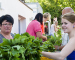 kraenzen 20150613 1399391928