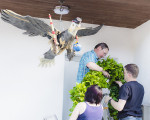 kraenzen 20150613 1740540712