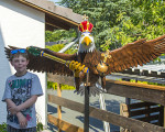 kraenzen 20150613 2080555665