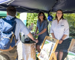 sgv gebirgsfest 2018 in olsberg 20180702 2030921371