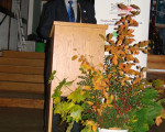 20081017 1233565858 mtc 17
