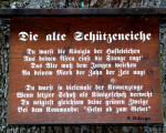 20080511 1371247642 6 jungschuetzenfest 45