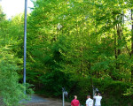 20080511 1614652714 6 jungschuetzenfest 3
