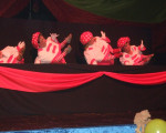20080131 1749375249 kfd karn11