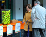 20080908 1445316170 apfel kartoffel 21