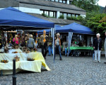 20080908 1629565910 apfel kartoffel 23