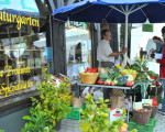 20080908 1980083719 apfel kartoffel 29