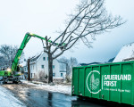  003  foto andreas weller baumfaellarbeiten huettenstrasse