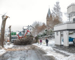  008  foto andreas weller baumfaellarbeiten huettenstrasse