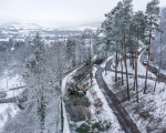  020  foto andreas weller baumfaellarbeiten huettenstrasse