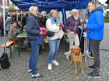 Biergarten am Brunnen und einkaufen bis der Mond scheint