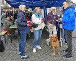 biergartenambrunnenint101