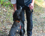 in der pause 20200920 2078120385