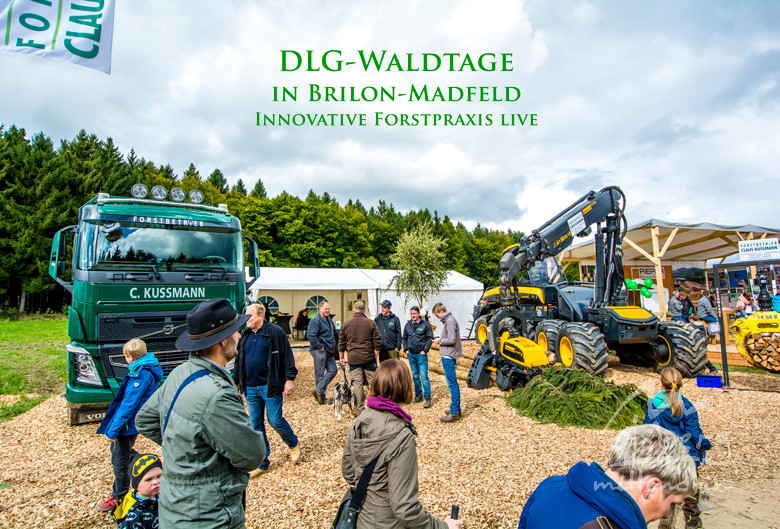 dlg waldtage in brilon madfeld 20170917 1022012535