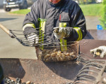 20240901 feuerwehrfest jst