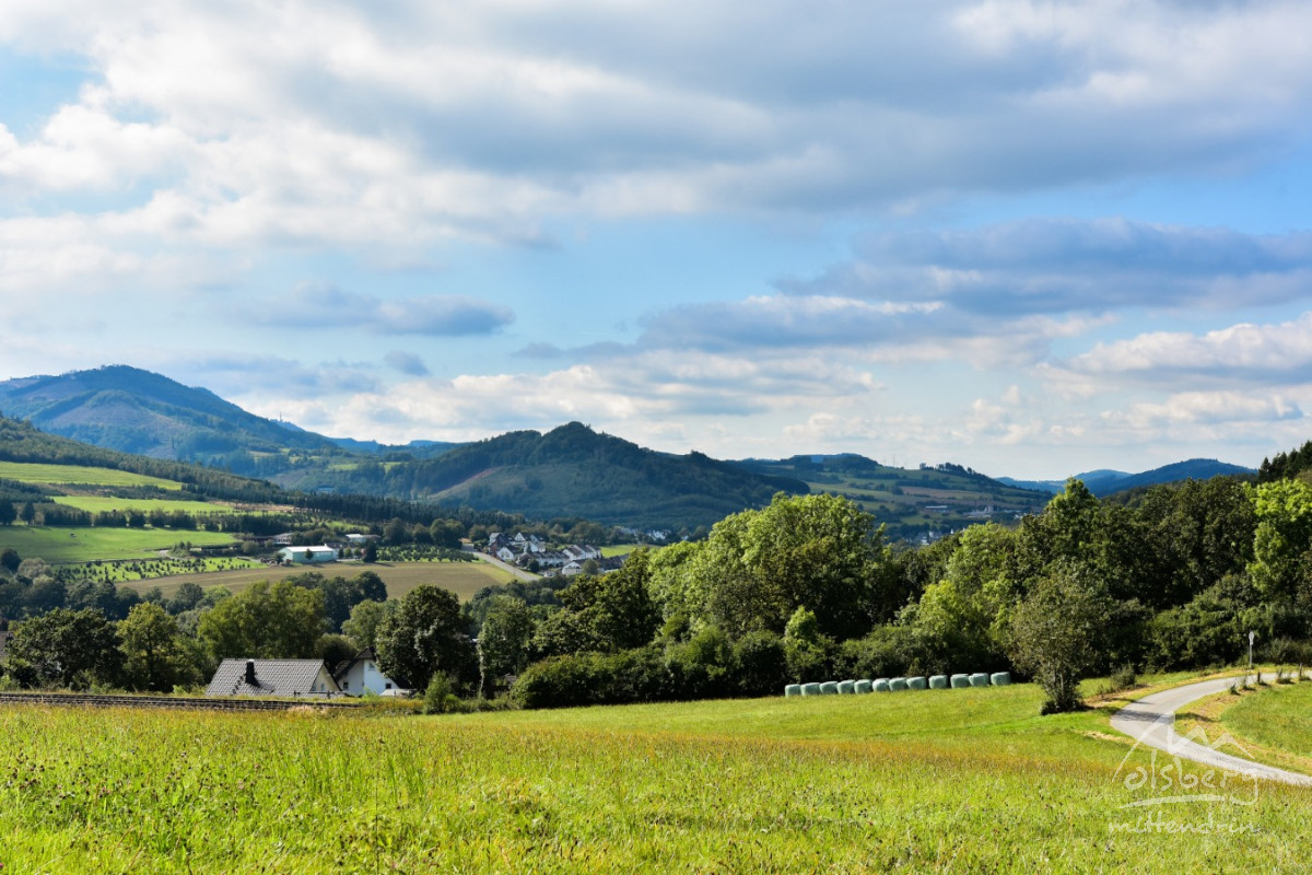 20240915 borberg jst