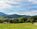 20240915 borberg jst