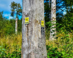 20240915 borberg jst