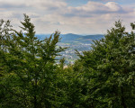 20240915 borberg jst