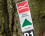 20240915 borberg jst