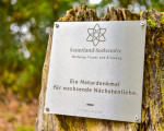 20240915 borberg jst