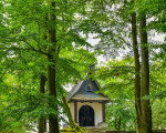 20240915 borberg jst