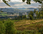 20240915 borberg jst