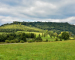 20240915 borberg jst