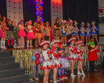 20240126 frauenkarneval 2024 jst