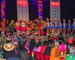 20240126 frauenkarneval 2024 jst
