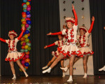 20240126 frauenkarneval 2024 jst