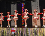 20240126 frauenkarneval 2024 jst