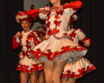 20240126 frauenkarneval 2024 jst