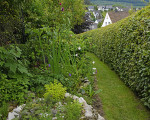  dsc5152int