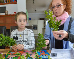 erstkommunionkinder bereiten sich auf palmsonntag vor 20160316 1297706752