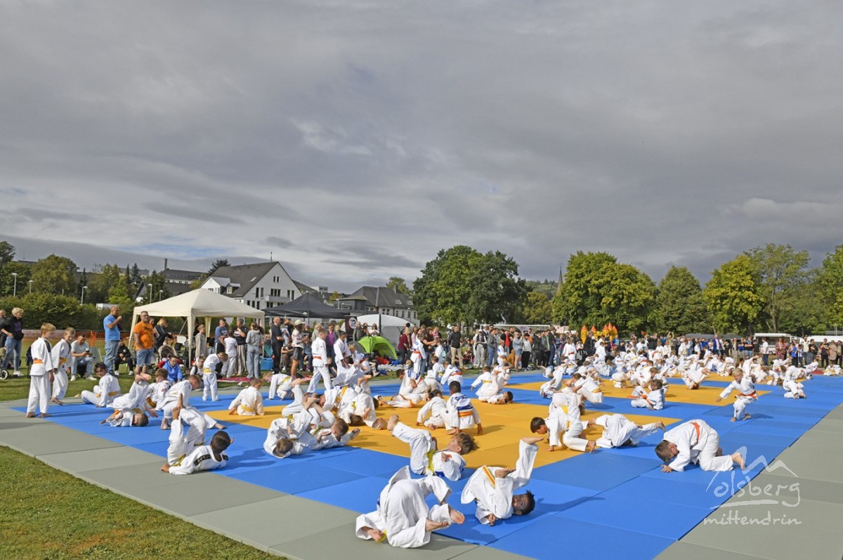 judo open airint102
