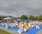 judo open airint102