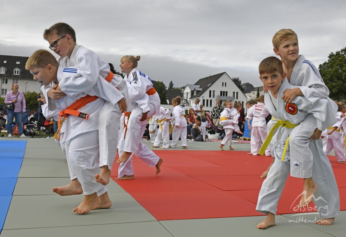 judo open airint113 judo open airint113