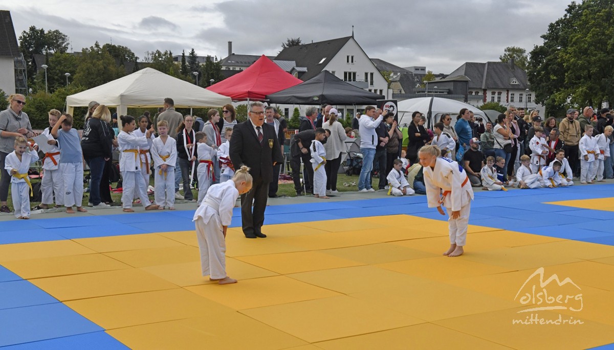 judo open airint121 judo open airint121