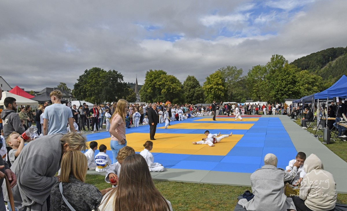 judo open airint123 judo open airint123