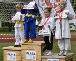 judo open airint135