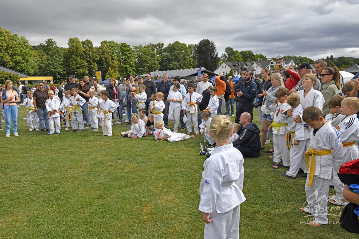 judo open airint136 judo open airint136