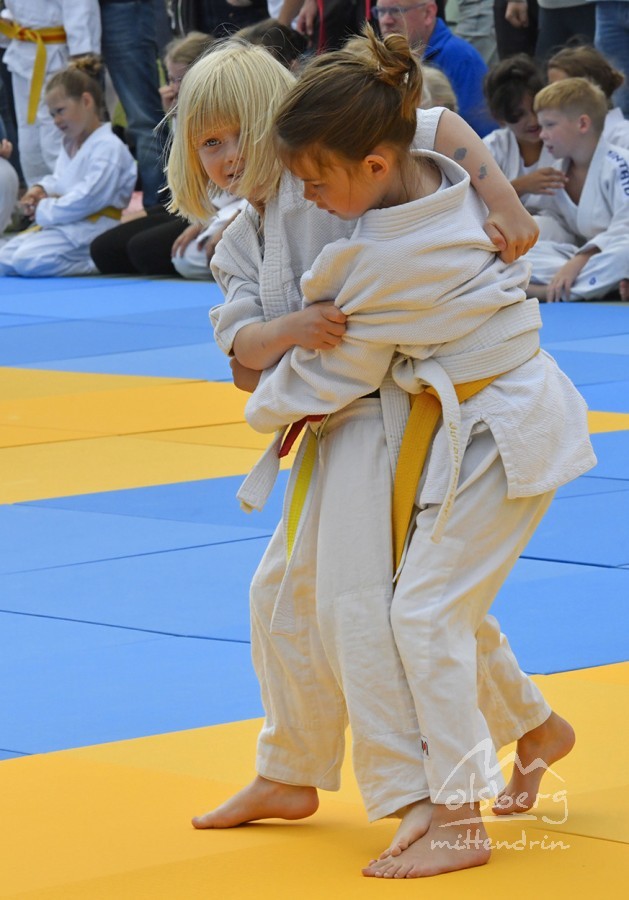 judo open airint144 judo open airint144