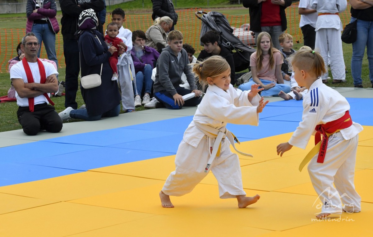 judo open airint151 judo open airint151