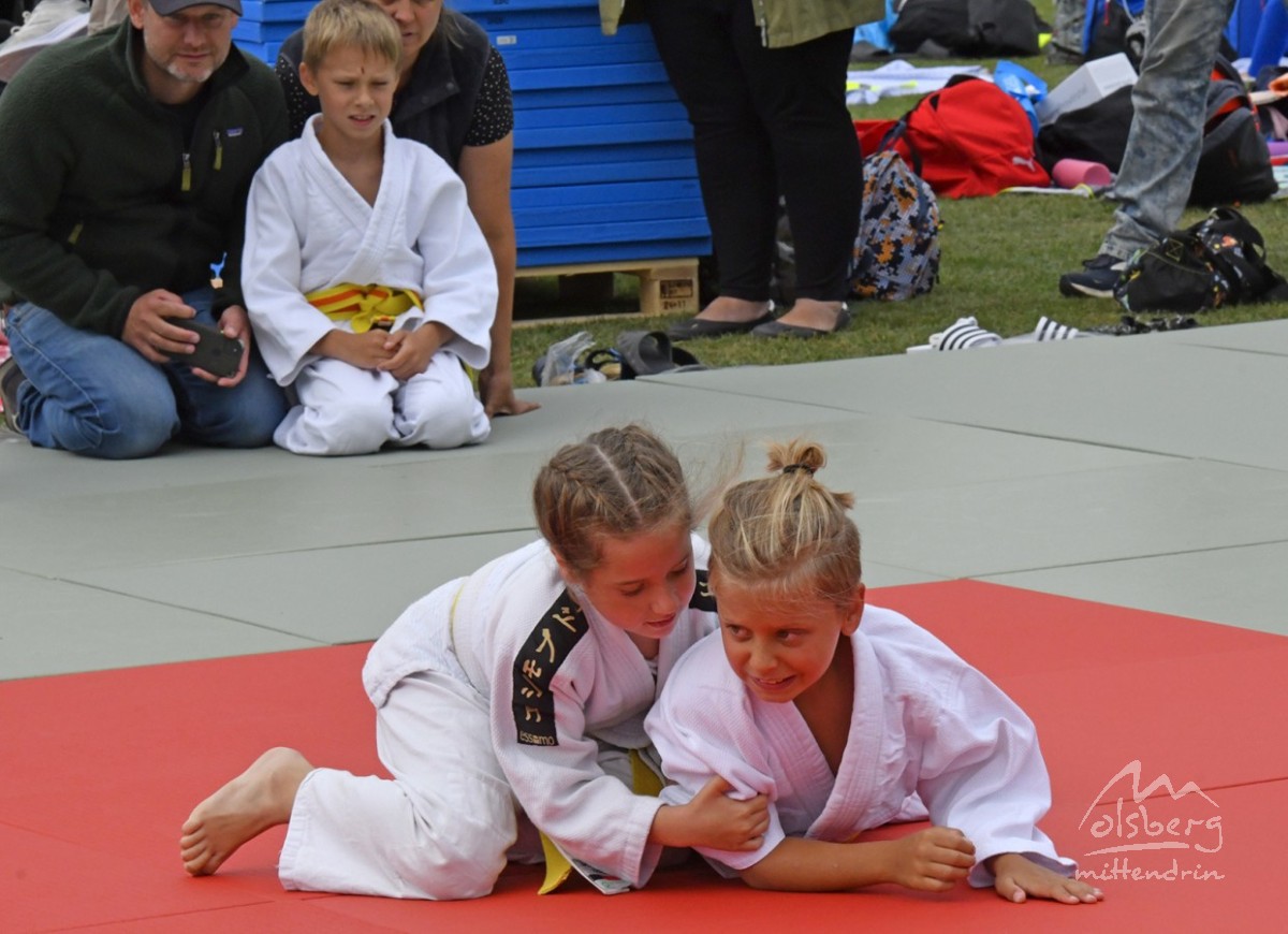 judo open airint155 judo open airint155