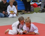 judo open airint155 judo open airint155